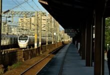 professional online platform hub